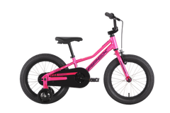 APEX PEAK 16" FLAMINGO PINK